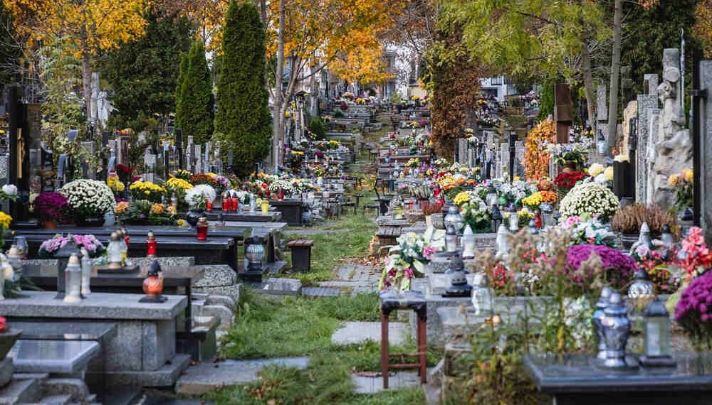 Day of the Dead